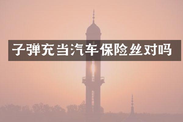 充当汽车保险丝对吗