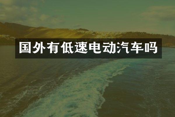 国外有低速电动汽车吗