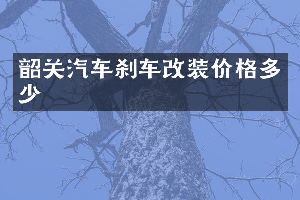 韶关汽车刹车改装价格多少