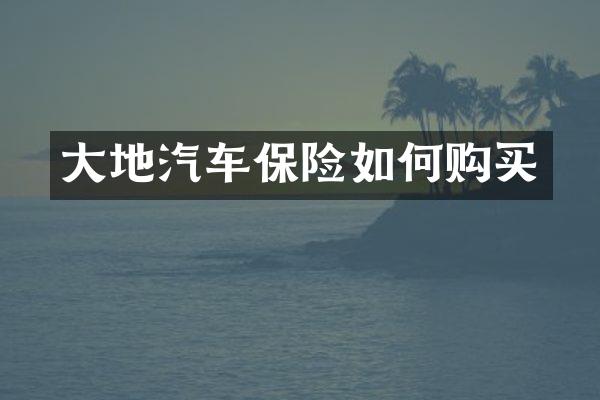大地汽车保险如何购买