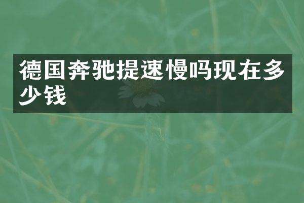 德国奔驰提速慢吗现在多少钱