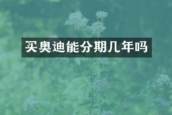 买奥迪能分期几年吗