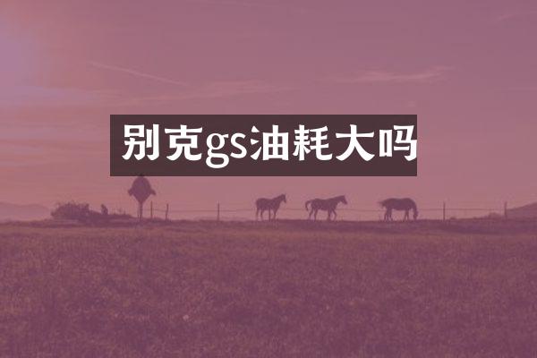 别克gs油耗大吗
