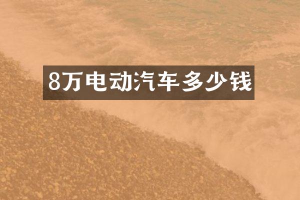 8万电动汽车多少钱