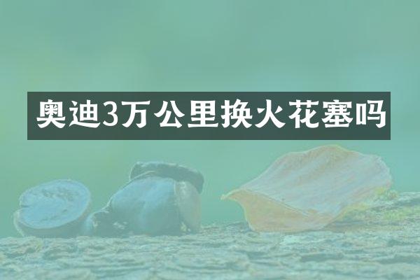 奥迪3万公里换火花塞吗