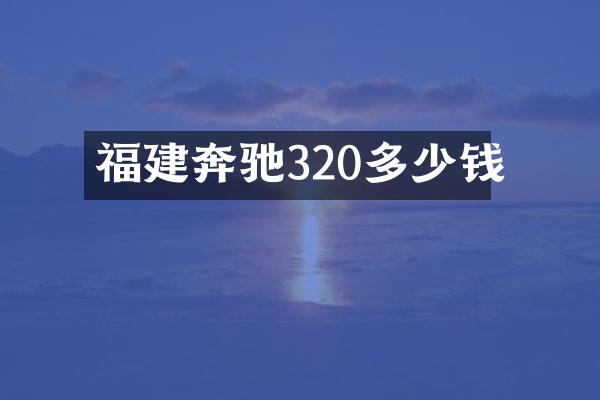 福建奔驰320多少钱