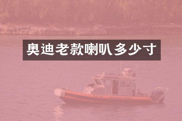 奥迪老款喇叭多少寸