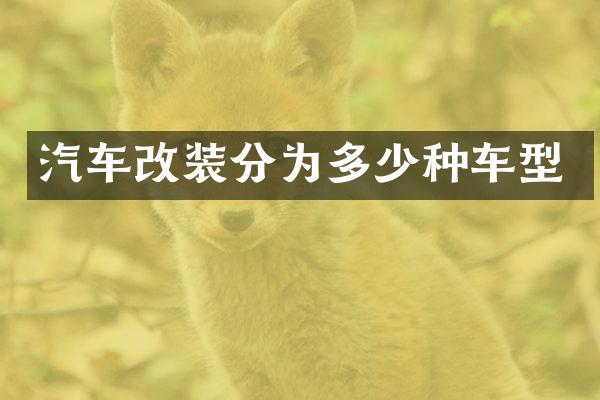 汽车改装分为多少种车型