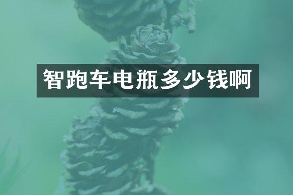 智跑车电瓶多少钱啊