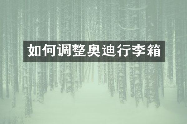 如何调整奥迪行李箱