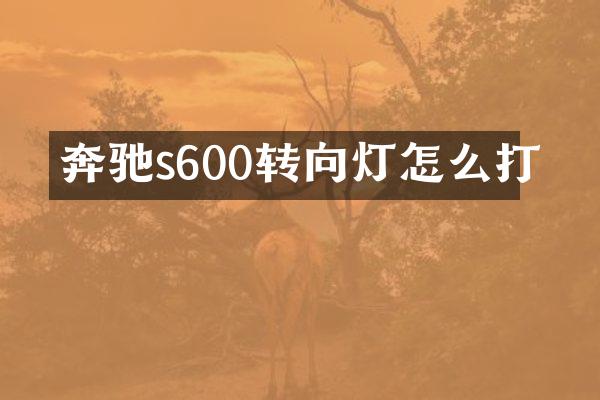 奔驰s600转向灯怎么打