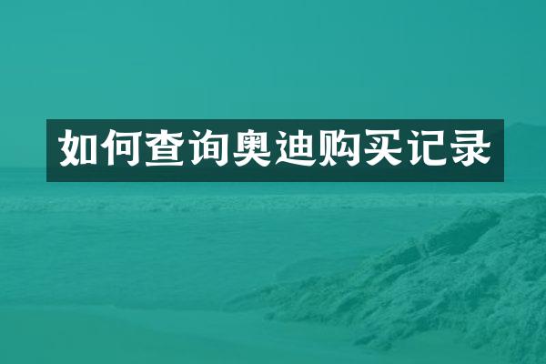 如何查询奥迪购买记录