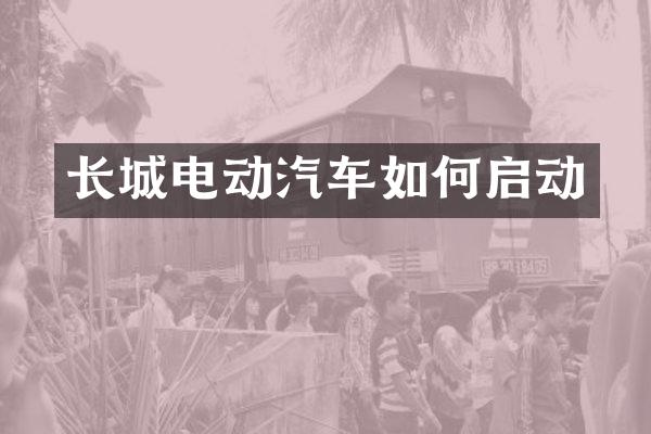长城电动汽车如何启动