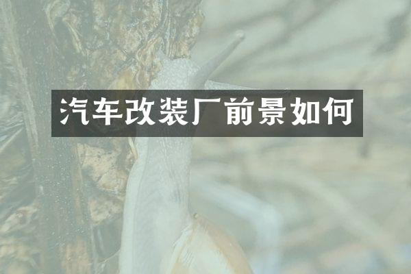 汽车改装厂前景如何