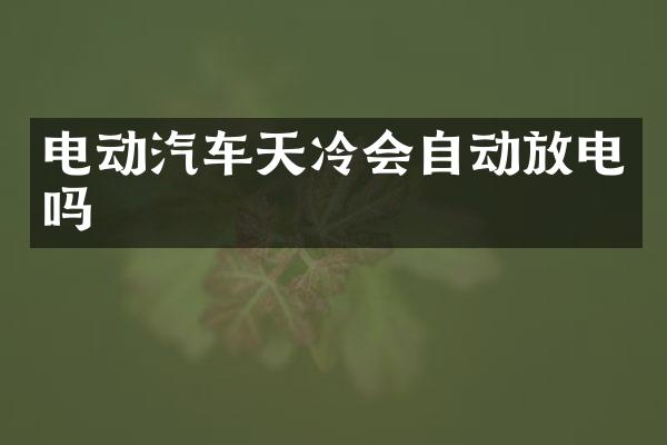 电动汽车天冷会自动放电吗