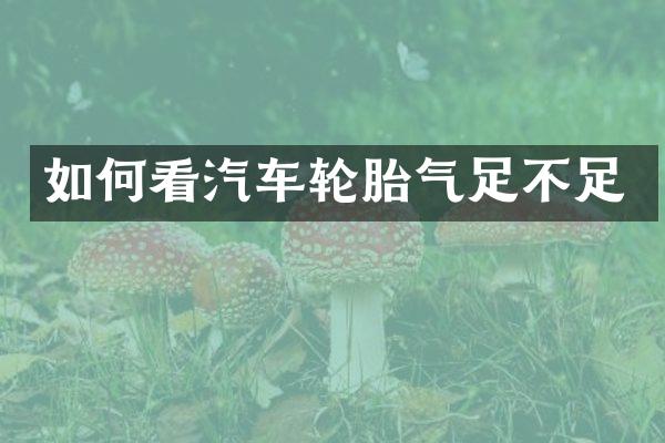 如何看汽车轮胎气足不足