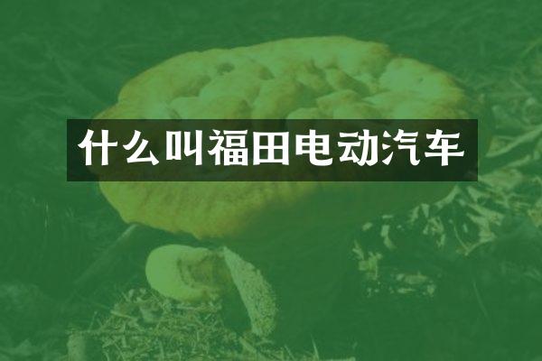 什么叫福田电动汽车