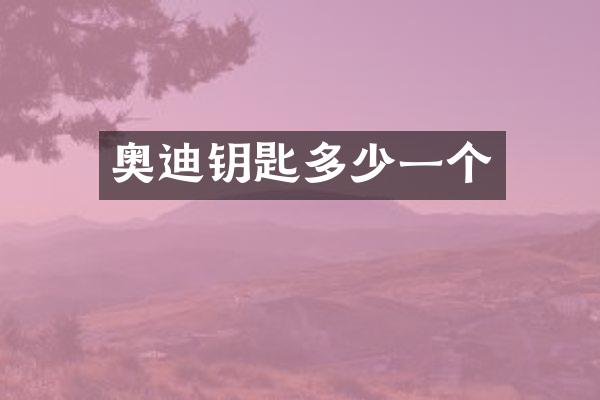 奥迪钥匙多少一个