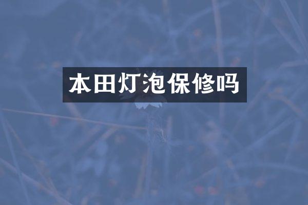 本田灯泡保修吗