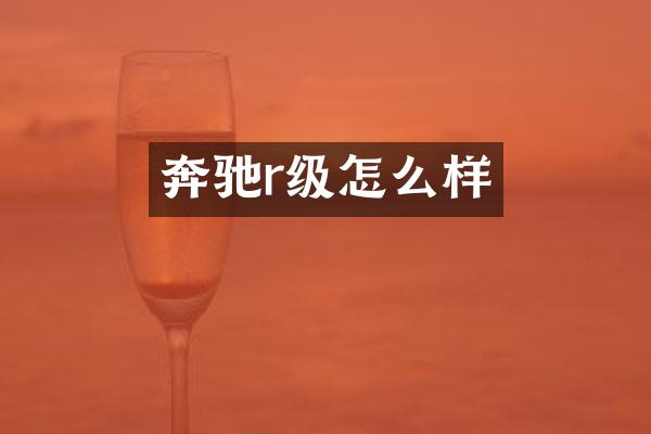 奔驰r级怎么样