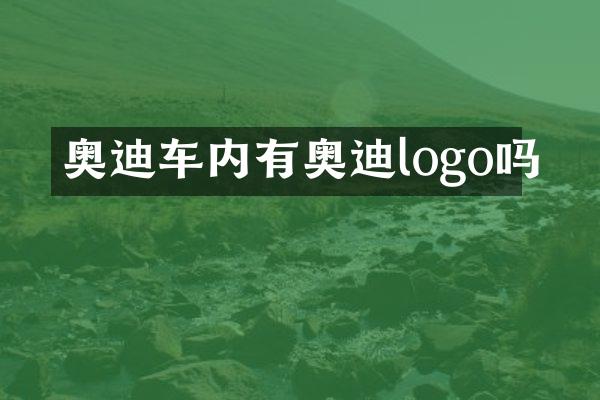 奥迪车内有奥迪logo吗