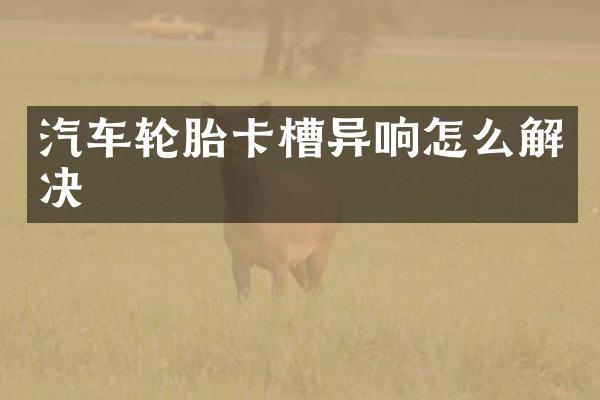 汽车轮胎卡槽异响怎么解决