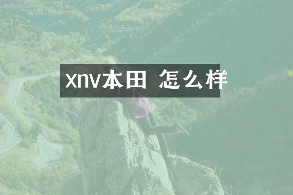 xnv本田 怎么样