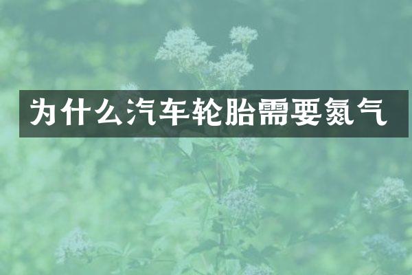 为什么汽车轮胎需要氮气