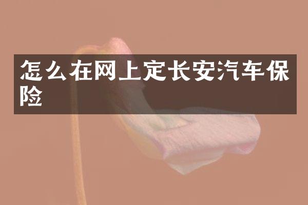 怎么在网上定长安汽车保险