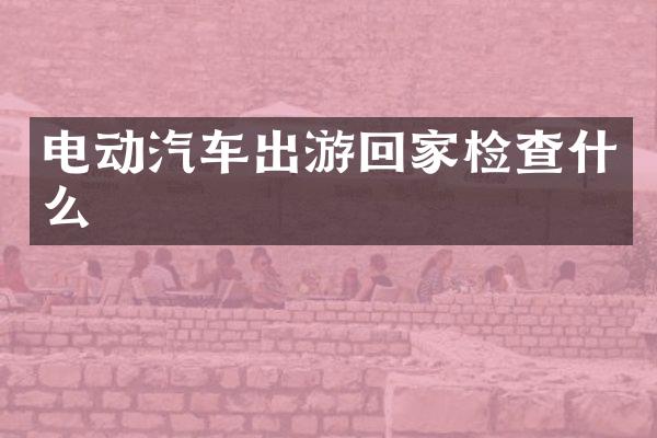 电动汽车出游回家检查什么