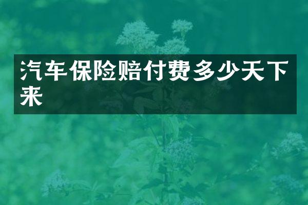 汽车保险赔付费多少天下来