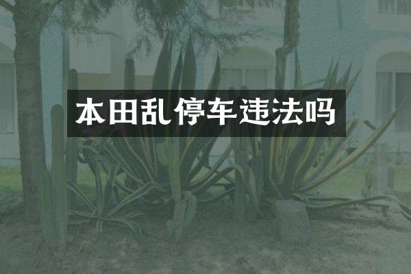 本田乱停车违法吗