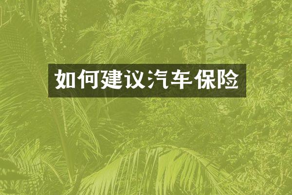 如何建议汽车保险