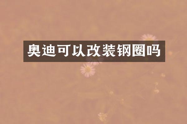 奥迪可以改装钢圈吗