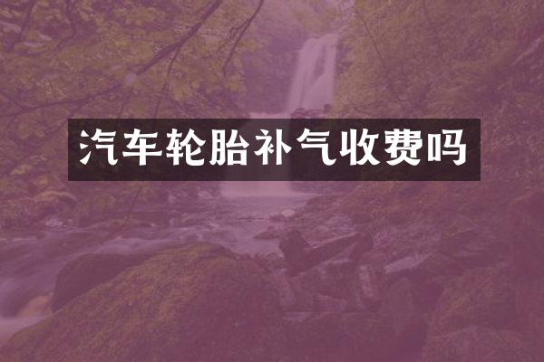 汽车轮胎补气收费吗
