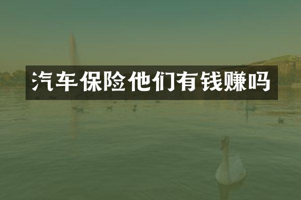 汽车保险他们有钱赚吗