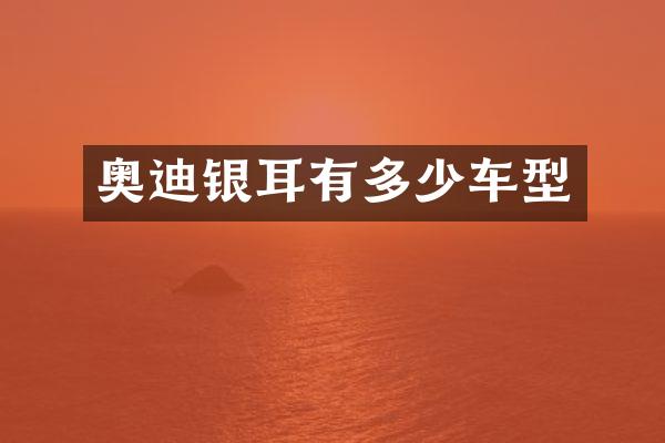 奥迪银耳有多少车型