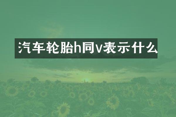 汽车轮胎h同v表示什么