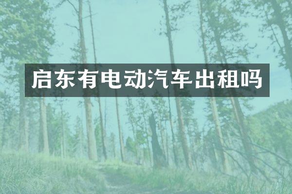 启东有电动汽车出租吗