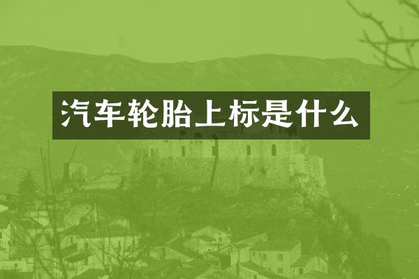 汽车轮胎上标是什么
