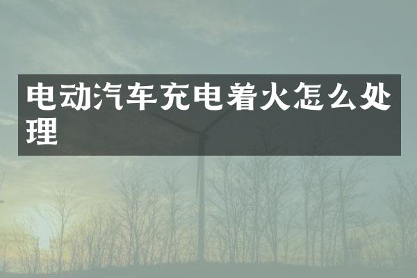 电动汽车充电着火怎么处理