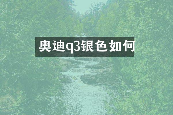 奥迪q3银色如何