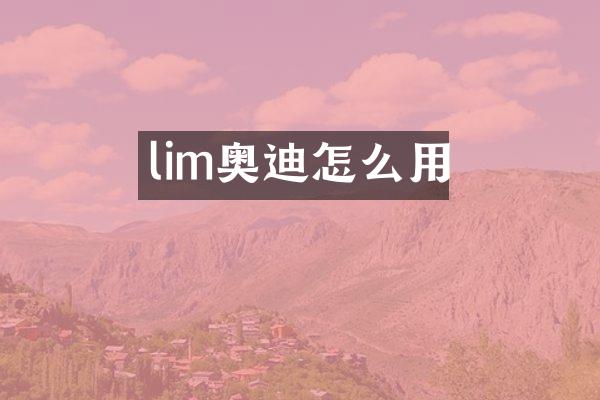 lim奥迪怎么用