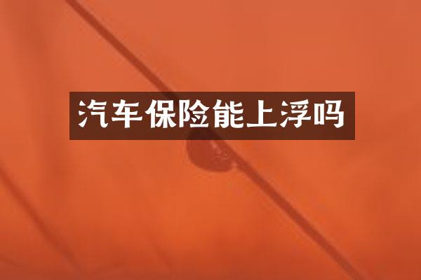 汽车保险能上浮吗
