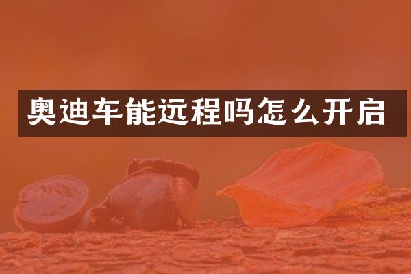 奥迪车能远程吗怎么开启
