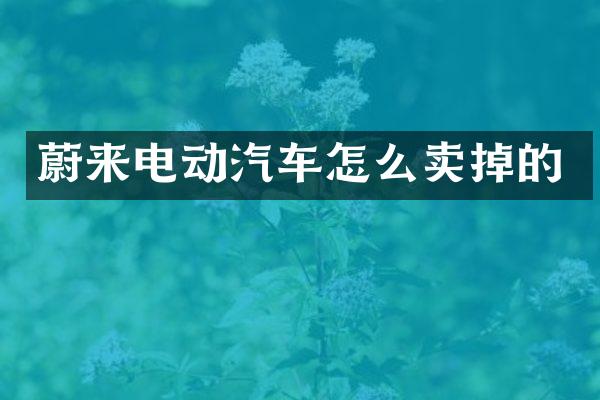 蔚来电动汽车怎么卖掉的