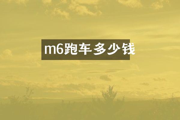 m6跑车多少钱