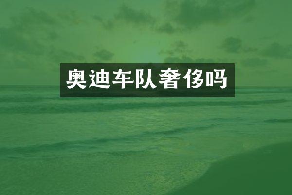 奥迪车队奢侈吗