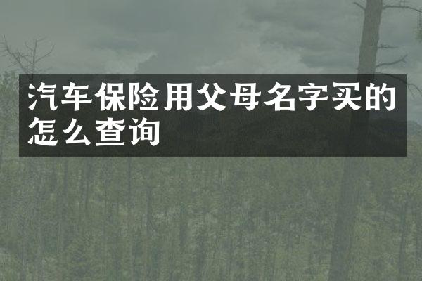 汽车保险用父母名字买的怎么查询
