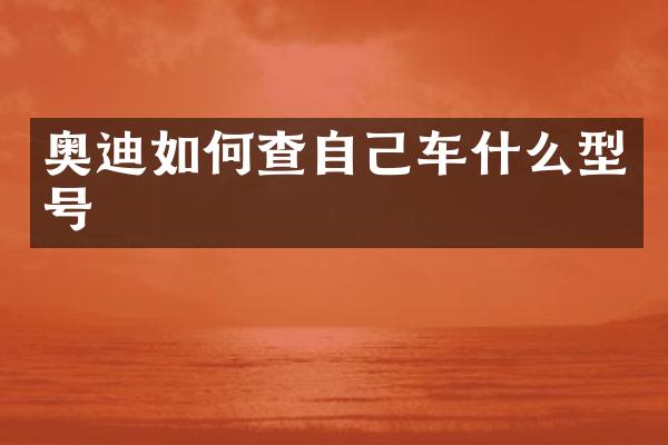奥迪如何查自己车什么型号